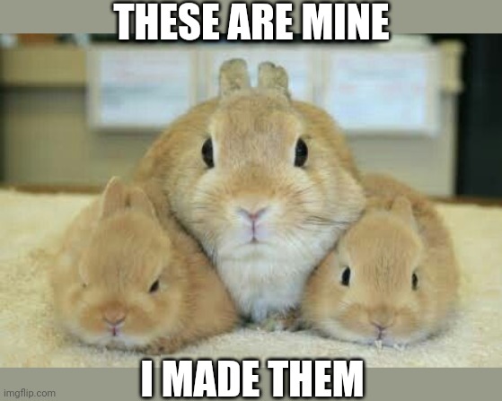 MAMA AND BABIES | THESE ARE MINE; I MADE THEM | image tagged in bunnies,rabbits,bunny | made w/ Imgflip meme maker