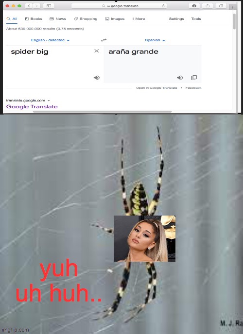 image tagged in ariana grande,spider | made w/ Imgflip meme maker