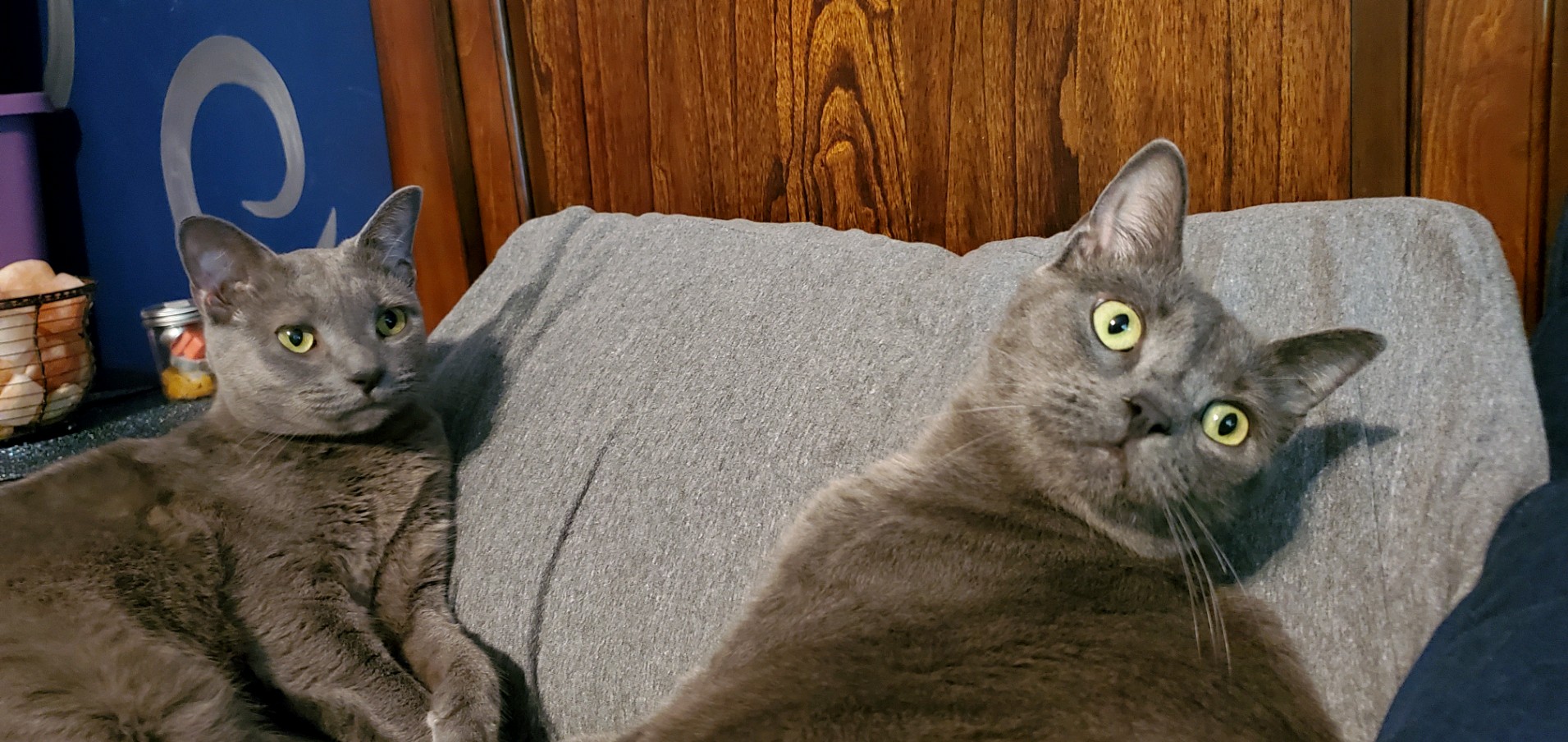 Kam and Kyle Blank Meme Template