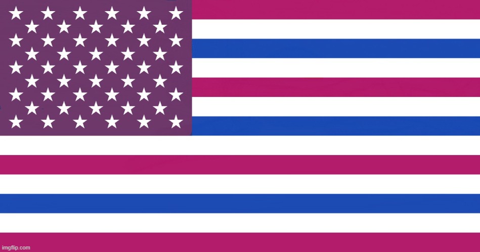 American flag, but bisexual. Give me your flags and I could make one for you. | made w/ Imgflip meme maker