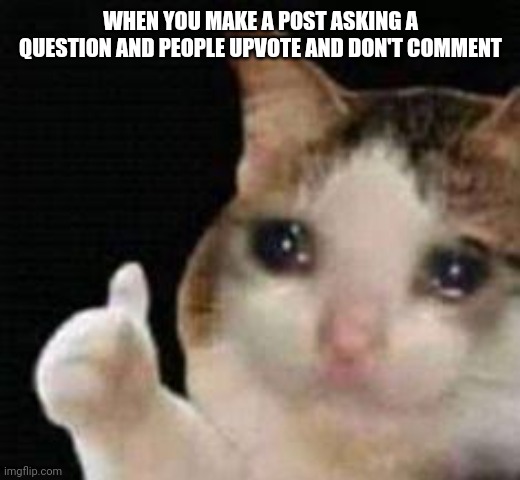 Approved crying cat | WHEN YOU MAKE A POST ASKING A QUESTION AND PEOPLE UPVOTE AND DON'T COMMENT | image tagged in approved crying cat | made w/ Imgflip meme maker
