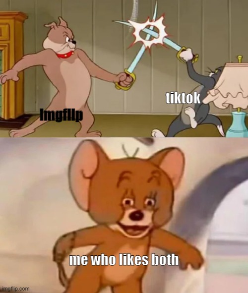 i betrayed both at same time. hehe | tiktok; imgflip; me who likes both | image tagged in tom and spike fighting | made w/ Imgflip meme maker
