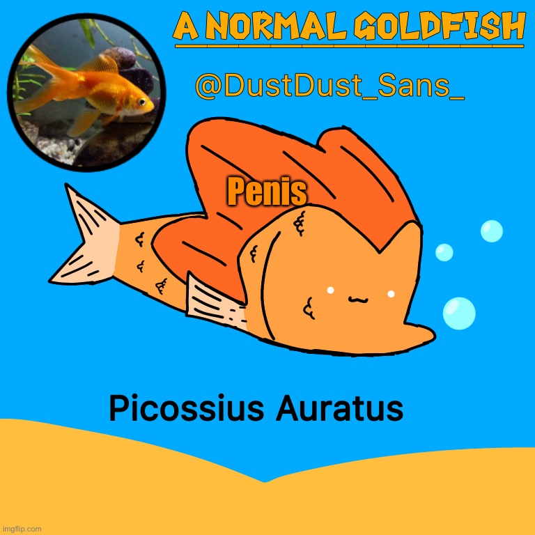 A Normal Goldfish (DustDust_Sans_) Announcement Template | Penis | image tagged in a normal goldfish dustdust_sans_ announcement template | made w/ Imgflip meme maker