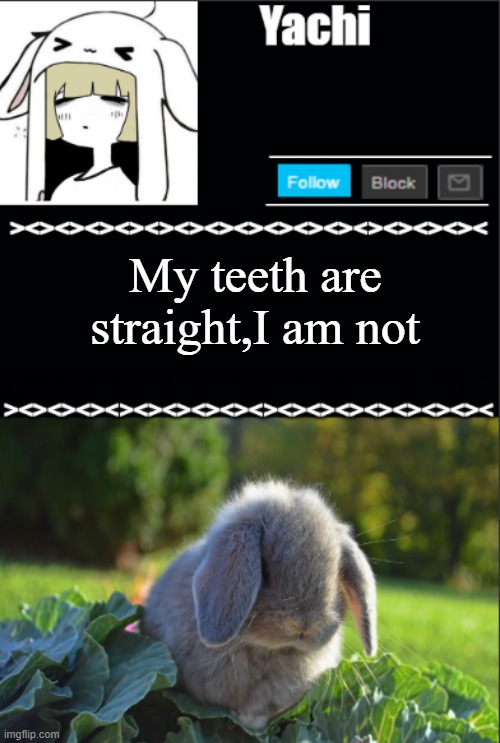 Yachi temp | My teeth are straight,I am not | image tagged in yachi temp | made w/ Imgflip meme maker