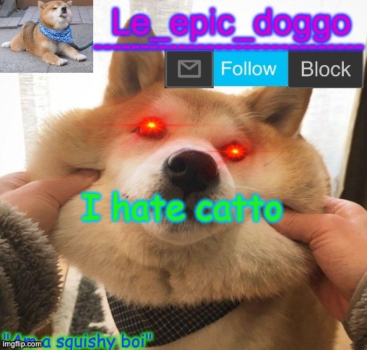 Am a squishy boi temp | I hate catto | image tagged in am a squishy boi temp | made w/ Imgflip meme maker