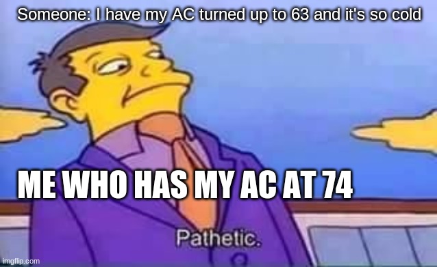 skinner pathetic | Someone: I have my AC turned up to 63 and it's so cold; ME WHO HAS MY AC AT 74 | image tagged in skinner pathetic | made w/ Imgflip meme maker