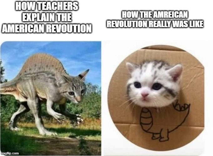 idk if its history or revolution | HOW THE AMREICAN REVOLUTION REALLY WAS LIKE; HOW TEACHERS EXPLAIN THE AMERICAN REVOUTION | image tagged in cat meme,history,american revolution,memes,history memes | made w/ Imgflip meme maker