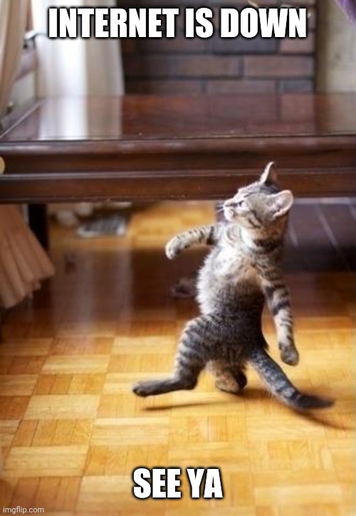 Cool Cat Stroll | INTERNET IS DOWN; SEE YA | image tagged in memes,cool cat stroll | made w/ Imgflip meme maker