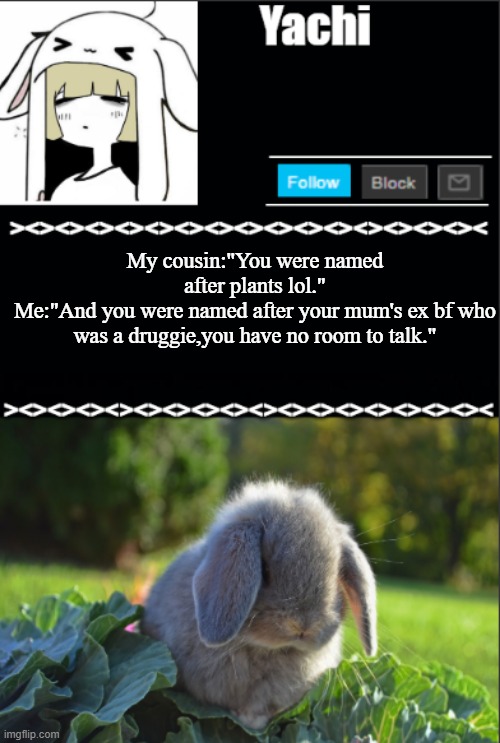 Yachi temp | My cousin:"You were named after plants lol."
Me:"And you were named after your mum's ex bf who was a druggie,you have no room to talk." | image tagged in yachi temp | made w/ Imgflip meme maker