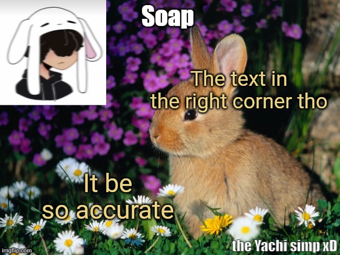 The text in the right corner tho; It be so accurate | image tagged in soap bunny temp ty yachi 3 | made w/ Imgflip meme maker