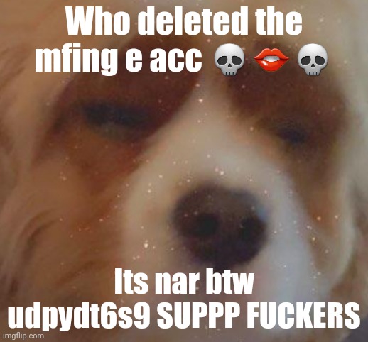 FRICK YOU WHOEVER DELETES IT MFER | Who deleted the mfing e acc 💀👄💀; Its nar btw udpydt6s9 SUPPP FUCKERS | image tagged in narwhal doge | made w/ Imgflip meme maker
