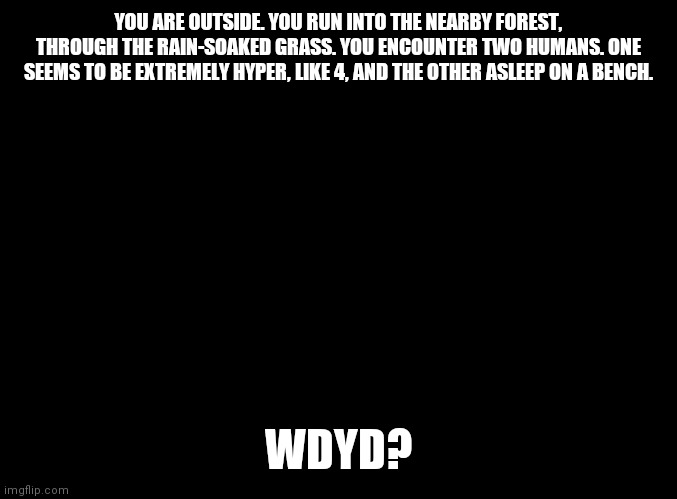 Personality swapped versions of me and Jacob, perhaps? | YOU ARE OUTSIDE. YOU RUN INTO THE NEARBY FOREST, THROUGH THE RAIN-SOAKED GRASS. YOU ENCOUNTER TWO HUMANS. ONE SEEMS TO BE EXTREMELY HYPER, LIKE 4, AND THE OTHER ASLEEP ON A BENCH. WDYD? | image tagged in blank black | made w/ Imgflip meme maker