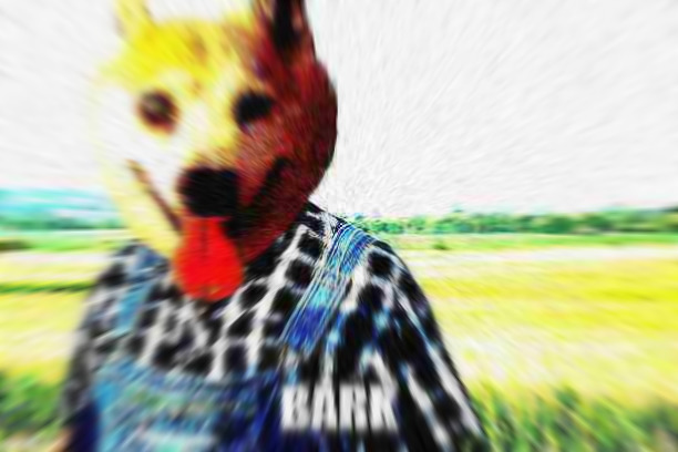 BARK Blank Meme Template