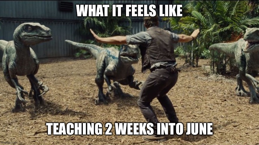 Teaching in June | WHAT IT FEELS LIKE; TEACHING 2 WEEKS INTO JUNE | image tagged in raptor training | made w/ Imgflip meme maker