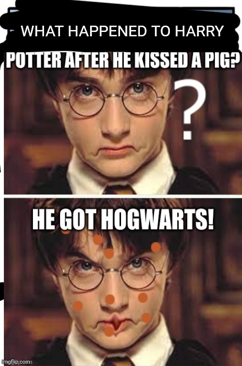 hogwater 2.0? |  WHAT HAPPENED TO HARRY | image tagged in hogwarts,harry potter,memes | made w/ Imgflip meme maker