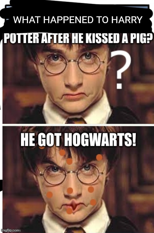 TOP TWENTY FUNNIEST/BEST HARRY POTTER MEMES ON REDDIT IN JUNE 2020