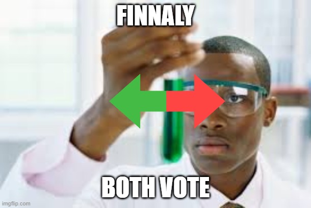 we need both vote | FINNALY; BOTH VOTE | image tagged in finnaly | made w/ Imgflip meme maker