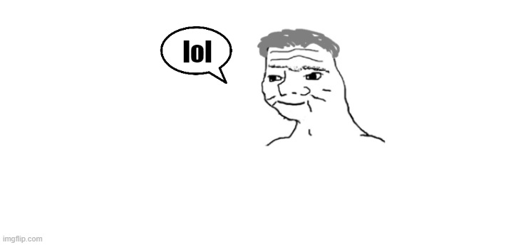 nooo haha go brrr | lol | image tagged in nooo haha go brrr | made w/ Imgflip meme maker