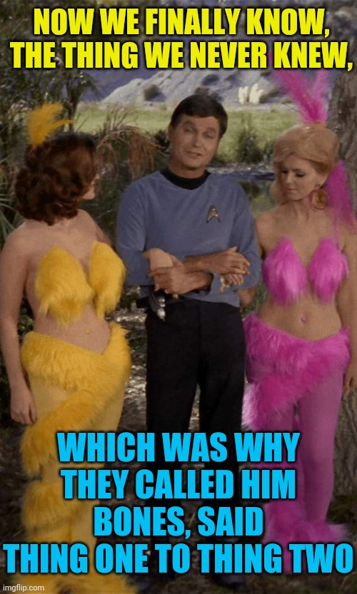 When Dr. McCoy met Dr. Suess | NOW WE FINALLY KNOW, THE THING WE NEVER KNEW, WHICH WAS WHY THEY CALLED HIM BONES, SAID THING ONE TO THING TWO | image tagged in star trek,dr mccoy,dr seuss,innuendo,double entendres | made w/ Imgflip meme maker
