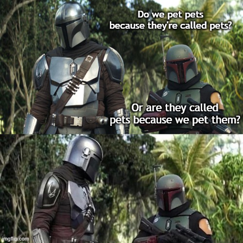 Mandalorian : Boba Fett Said weird thing | Do we pet pets because they're called pets? Or are they called pets because we pet them? | image tagged in mandalorian boba fett said weird thing,pets,english,animals,language,shower thoughts | made w/ Imgflip meme maker
