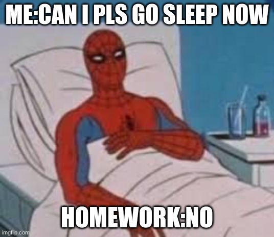 hehe so funny | ME:CAN I PLS GO SLEEP NOW; HOMEWORK:NO | image tagged in so lol | made w/ Imgflip meme maker