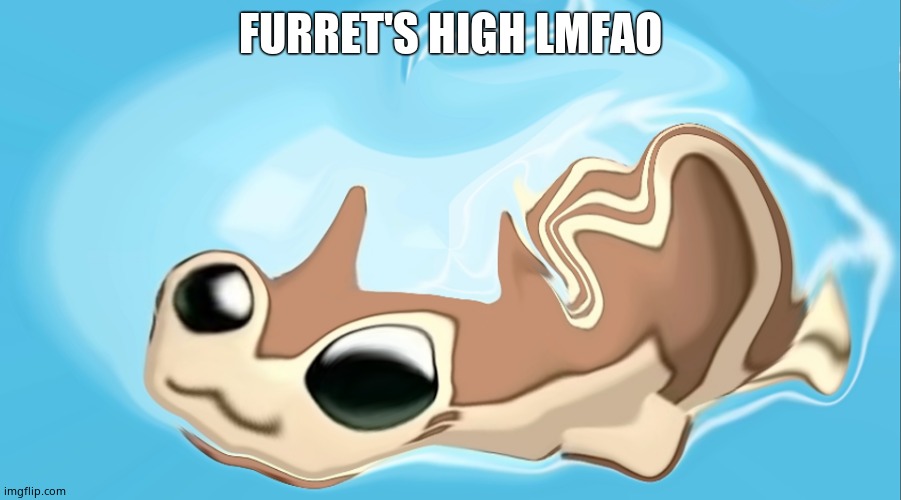 Warped Furret | FURRET'S HIGH LMFAO | image tagged in warped furret | made w/ Imgflip meme maker
