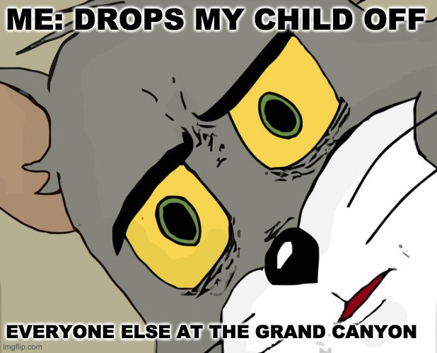 Unsettled Tom Meme | ME: DROPS MY CHILD OFF; EVERYONE ELSE AT THE GRAND CANYON | image tagged in memes,unsettled tom | made w/ Imgflip meme maker