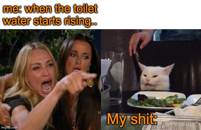 Woman Yelling At Cat Meme | me: when the toilet water starts rising.. My shit: | image tagged in memes,woman yelling at cat | made w/ Imgflip meme maker