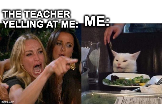 Woman Yelling At Cat | ME:; THE TEACHER YELLING AT ME: | image tagged in memes,woman yelling at cat | made w/ Imgflip meme maker