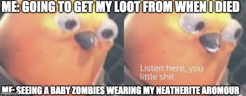 Listen here you little shit bird | ME: GOING TO GET MY LOOT FROM WHEN I DIED; ME: SEEING A BABY ZOMBIES WEARING MY NEATHERITE AROMOUR | image tagged in listen here you little shit bird | made w/ Imgflip meme maker