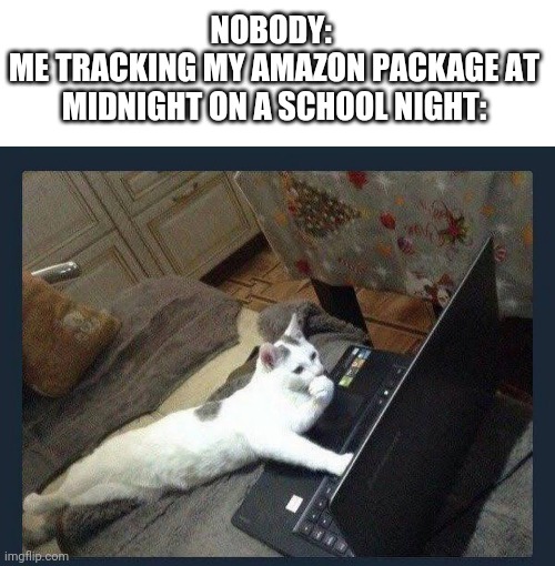 Cat computer | NOBODY: 
ME TRACKING MY AMAZON PACKAGE AT MIDNIGHT ON A SCHOOL NIGHT: | image tagged in cat computer | made w/ Imgflip meme maker