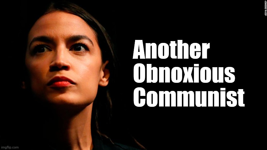 She's so obnoxious. | Another
Obnoxious 
Communist | image tagged in memes | made w/ Imgflip meme maker