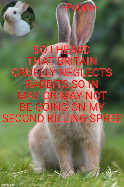 *visible anger* | SO I HEARD THAT BRITAIN CRUELLY NEGLECTS RABBITS SO IN MAY OR MAY NOT BE GOING ON MY SECOND KILLING SPREE | image tagged in -potato- rabbit announcement | made w/ Imgflip meme maker