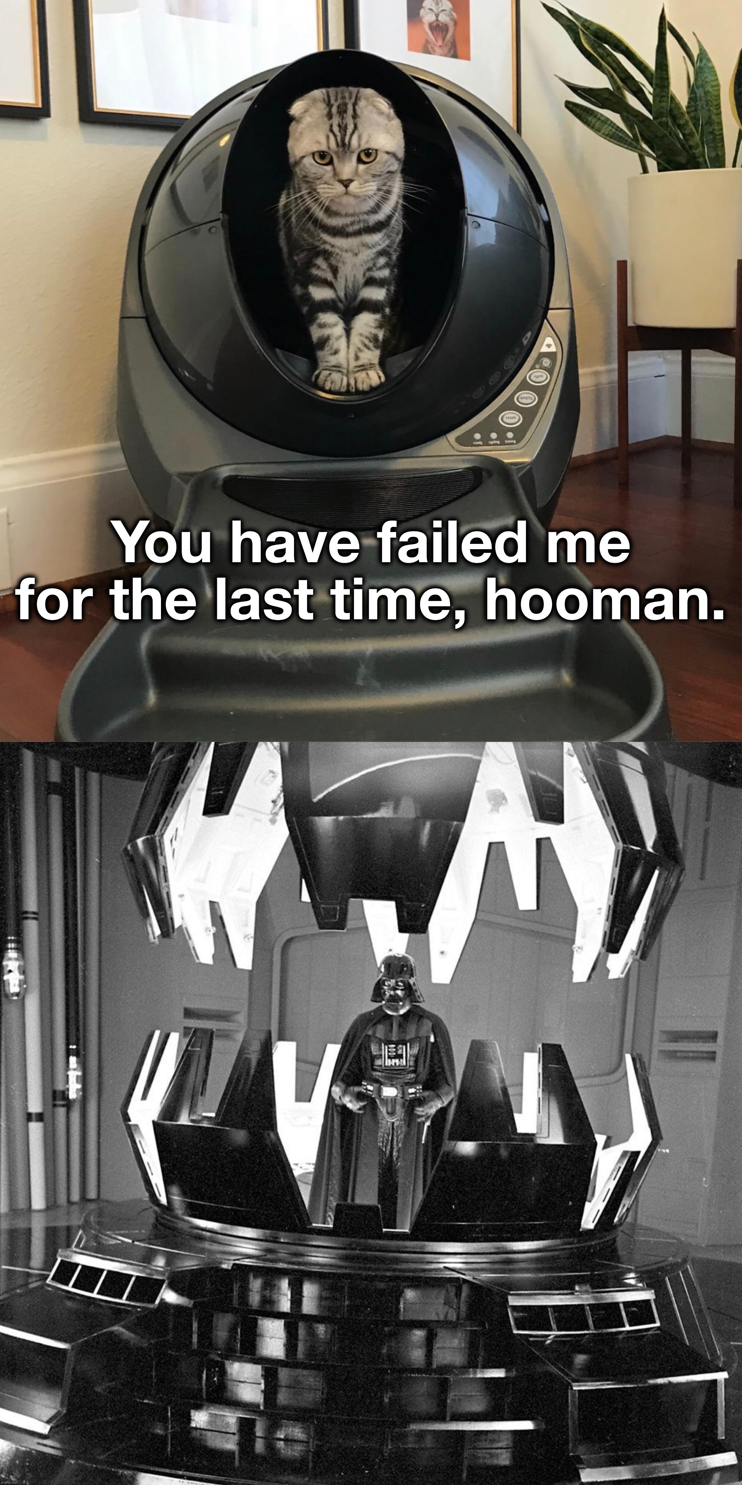 Join the Dark Side, we have kitties! | You have failed me for the last time, hooman. | image tagged in darth vader,darth vader - come to the dark side,dark side,star wars,kitties,cat | made w/ Imgflip meme maker