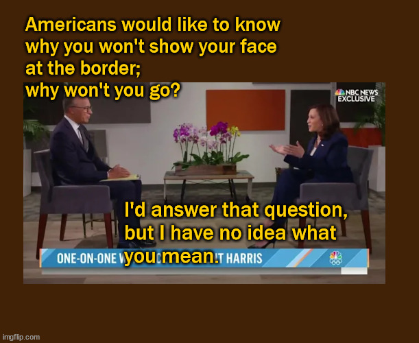 Kamala could not possibly be that clueless | Americans would like to know 
why you won't show your face 
at the border; 
why won't you go? I'd answer that question, 
but I have no idea what 
you mean. | image tagged in kamala harris,illegal immigration | made w/ Imgflip meme maker