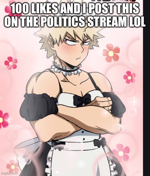 100 LIKES AND I POST THIS ON THE POLITICS STREAM LOL | made w/ Imgflip meme maker