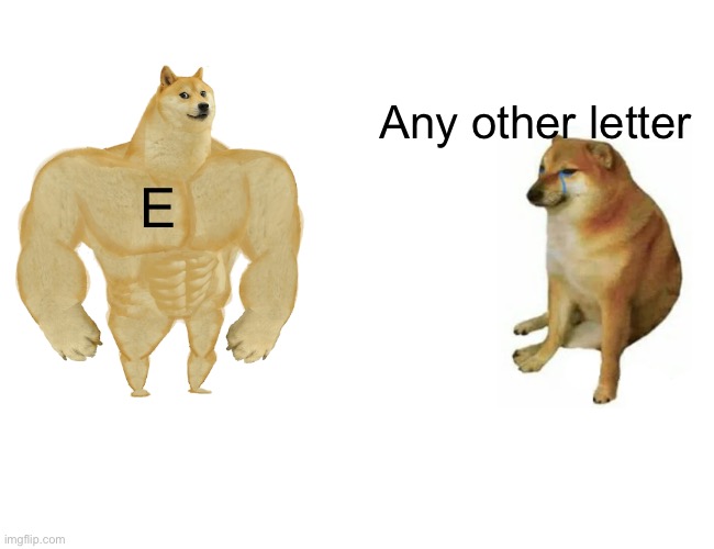 Buff Doge vs. Cheems | Any other letter; E | image tagged in memes,buff doge vs cheems | made w/ Imgflip meme maker