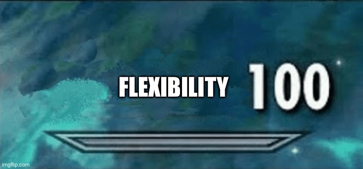 Skyrim skill meme | FLEXIBILITY | image tagged in skyrim skill meme | made w/ Imgflip meme maker