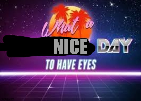 what a terrible day to have eyes | NICE | image tagged in what a terrible day to have eyes | made w/ Imgflip meme maker