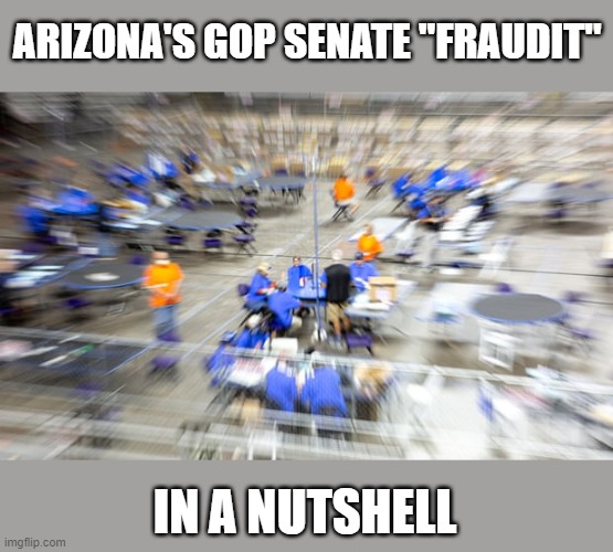 Arizona's latest election 'audit' is a prime example of a GOP political 'fraudit' | ARIZONA'S GOP SENATE "FRAUDIT"; IN A NUTSHELL | image tagged in arizona,election 2020,maricopa county,fraudit,cyber ninjas,gop scam | made w/ Imgflip meme maker