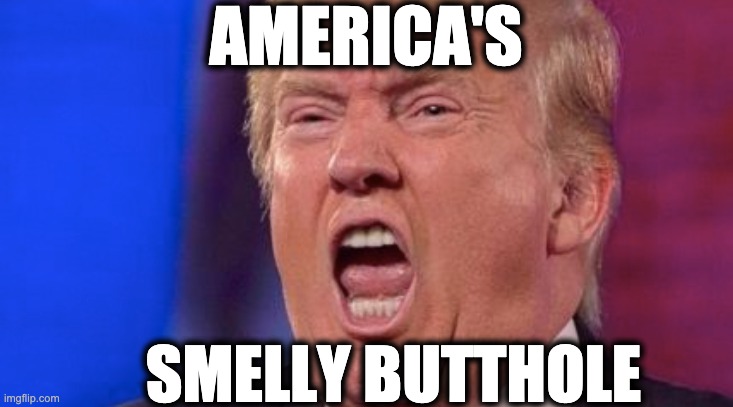 AMERICA'S; SMELLY BUTTHOLE | image tagged in memes,excrement,turds,caca,ordure,usa | made w/ Imgflip meme maker