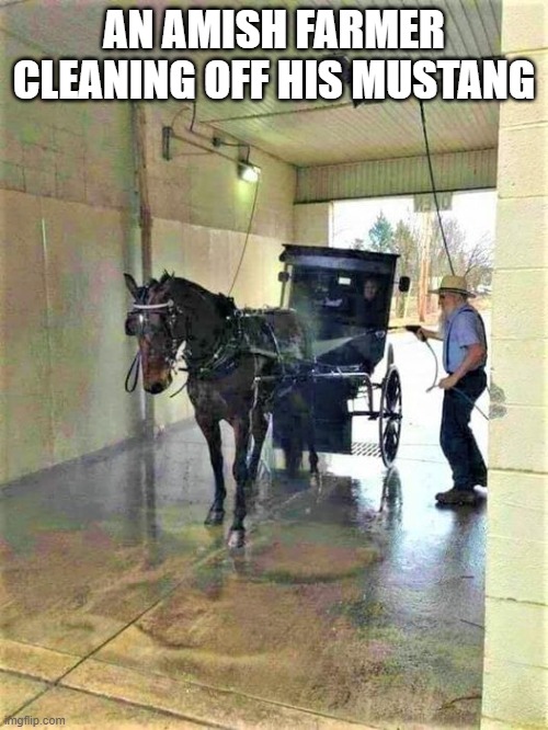 AN AMISH FARMER CLEANING OFF HIS MUSTANG | made w/ Imgflip meme maker