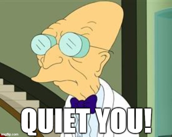 QUIET YOU! |  QUIET YOU! | image tagged in i don't want to live on this planet anymore,professor farnsworth | made w/ Imgflip meme maker