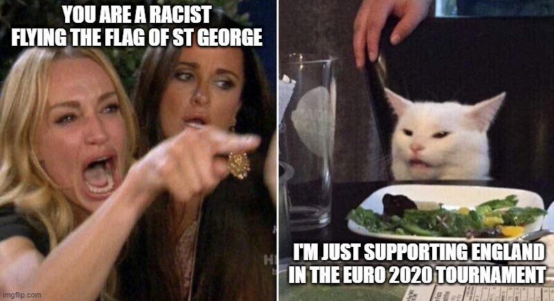 Woman Pointing at Cat | YOU ARE A RACIST FLYING THE FLAG OF ST GEORGE; I'M JUST SUPPORTING ENGLAND IN THE EURO 2020 TOURNAMENT | image tagged in woman pointing at cat | made w/ Imgflip meme maker