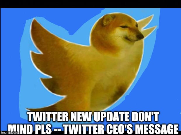 Twitter or cheemter | TWITTER NEW UPDATE DON'T MIND PLS -- TWITTER CEO'S MESSAGE | image tagged in twitter,cheems,doge | made w/ Imgflip meme maker