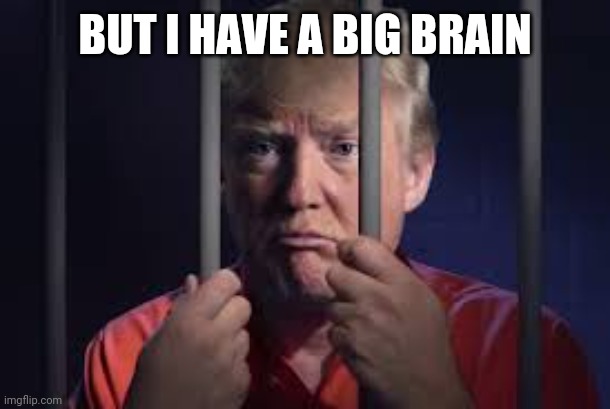 Trump jail | BUT I HAVE A BIG BRAIN | image tagged in trump jail | made w/ Imgflip meme maker