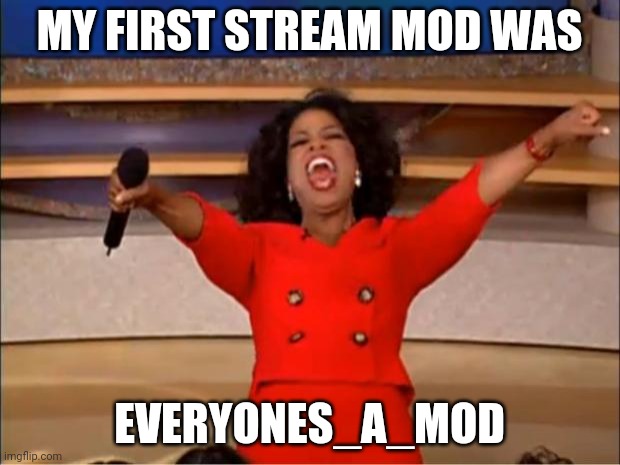 Yay | MY FIRST STREAM MOD WAS; EVERYONES_A_MOD | image tagged in memes,oprah you get a | made w/ Imgflip meme maker