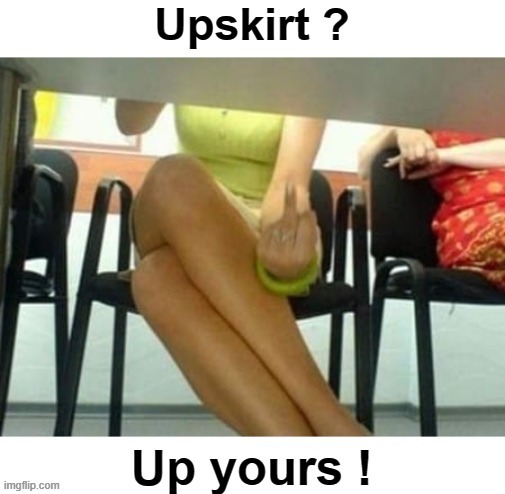 Upskirt !  Up yours ! | image tagged in upskirt | made w/ Imgflip meme maker