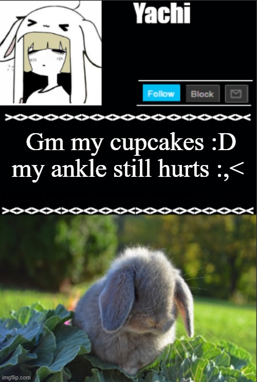 Yachi temp | Gm my cupcakes :D my ankle still hurts :,< | image tagged in yachi temp | made w/ Imgflip meme maker