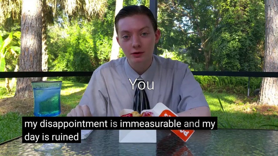 My Disappointment Is Immeasurable | You | image tagged in my disappointment is immeasurable | made w/ Imgflip meme maker